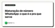 Maturação de número WhatsApp: o que é e pra que serve